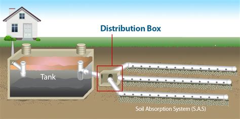 distance between septic tank and distribution box|septic system d box location.